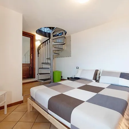 Crotto Palma دونغو